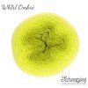 Whirl Sheepjes 563 citrusový melír
